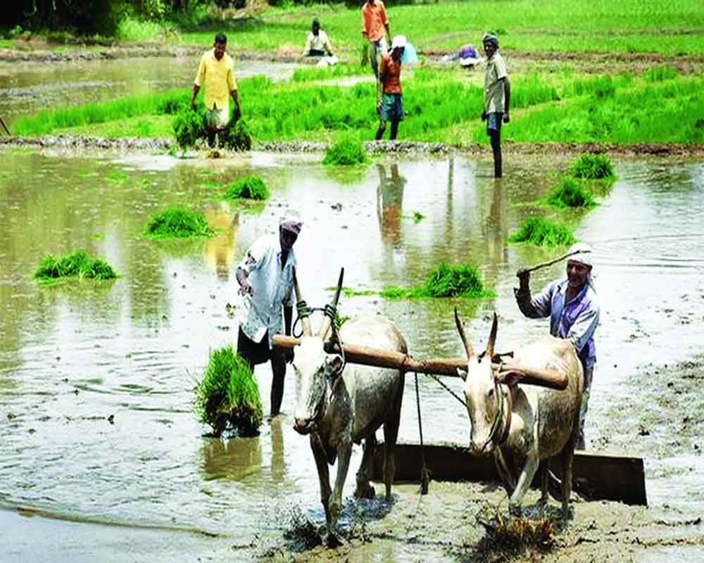Need to address flaws in Welfare Schemes for Farmers