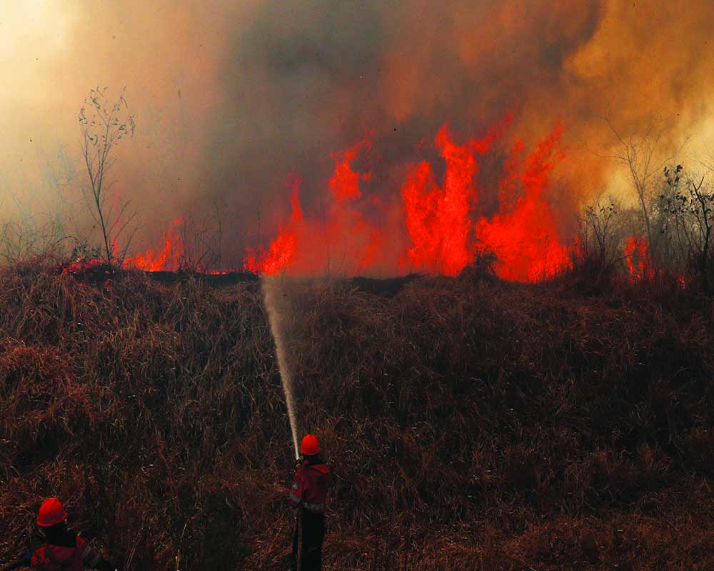 Planet’s lungs face threat from inferno