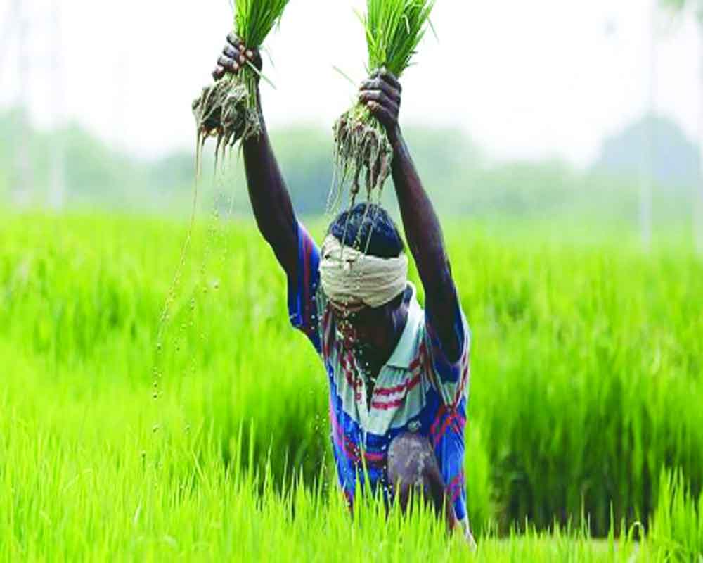Allocation with Aimless Approach for Agro Business