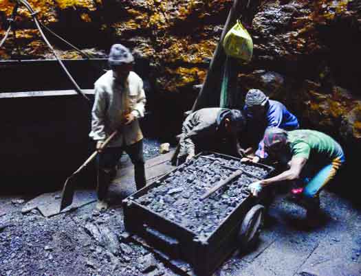 Meghalaya: A Gold Mine Yet to Be Tapped