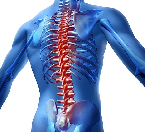 Spine related epidemic building up