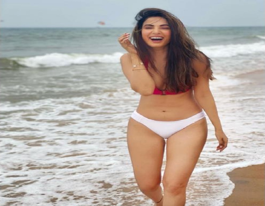 Sonal Chauhan flaunts hourglass frame in new bikini post