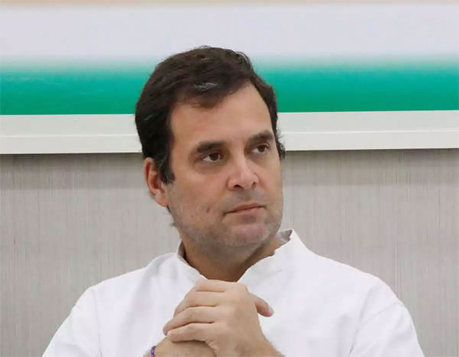 Success doesn't come easily: BJP's advice to Rahul Gandhi