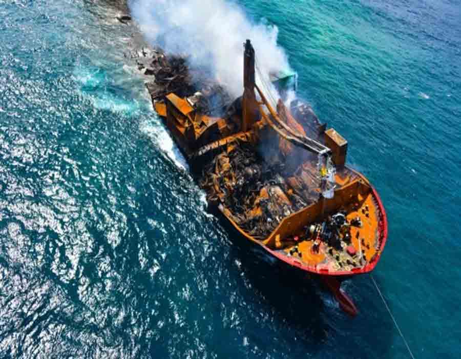 176 turtles, 20 dolphins dead after cargo ship fire in SL