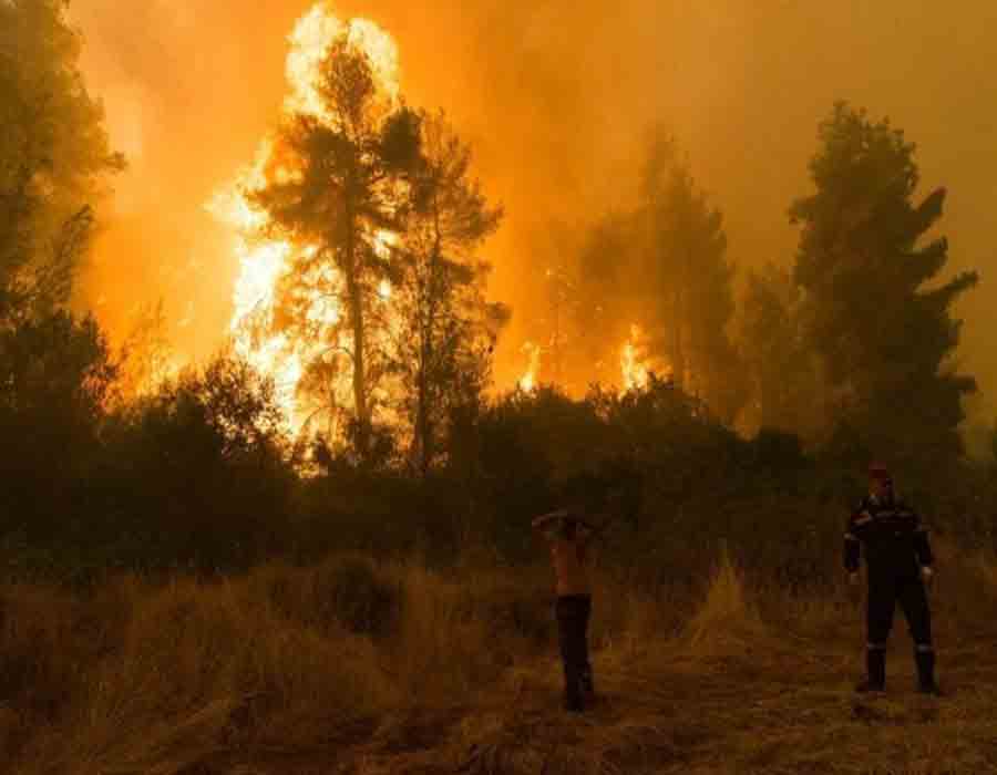 25 soldiers, 7 residents killed in Algeria's wildfires