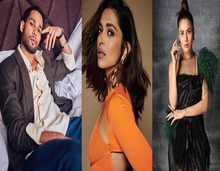 'Bigg Boss 15': Deepika, Shehnaaz, Siddhant to add star power to grand finale
