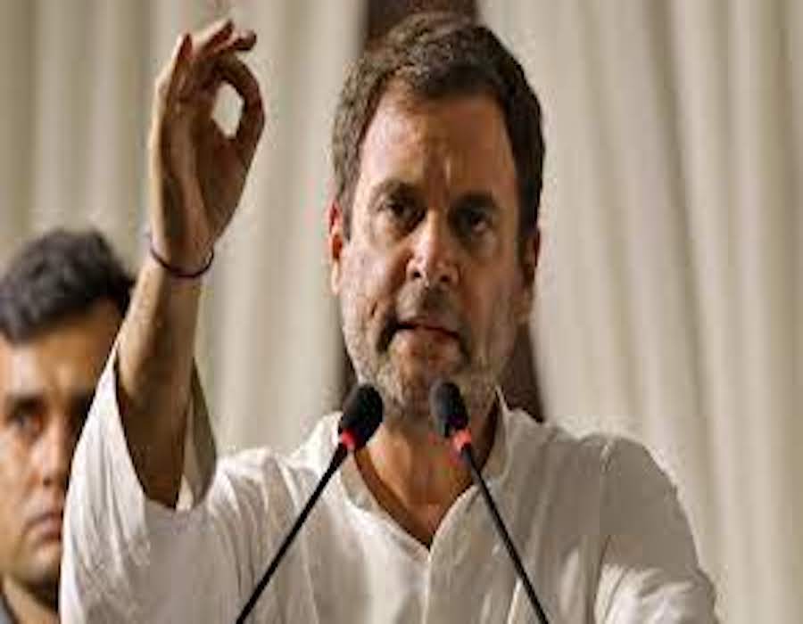 Govt's mega push for positivity is like burying one's head in the sand : Rahul