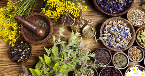 Most Effective Herbs to prevent Cancer