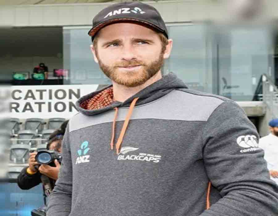 New Zealand reveal fit Williamson, WTC final ball