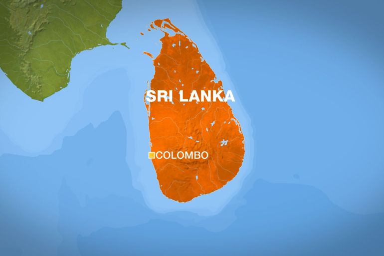 Sri Lanka Tamil diaspora is concerned about Chinese investments