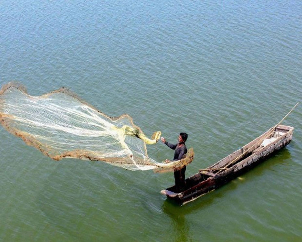 Sri Lankan Navy arrests 12 more Indian fishermen for alleged poaching; total number reaches 55