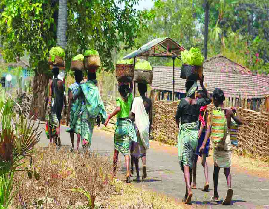 The lost cause of ingenuous tribals